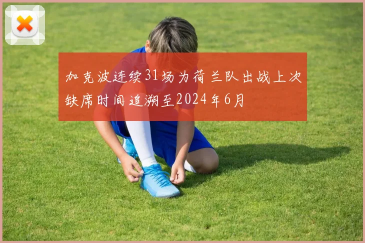 加克波连续31场为荷兰队出战上次缺席时间追溯至2024年6月
